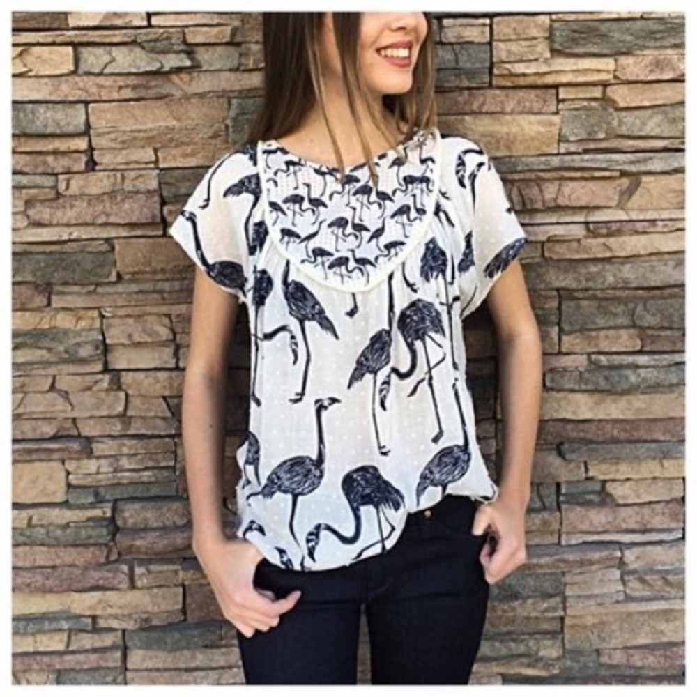 Anthro CoreyLynnCalter Wild Flamingo Top - S